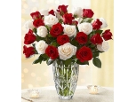 Bright Roses - 24 Stems Vase
